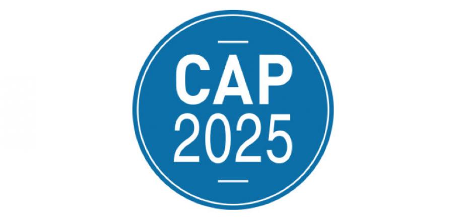LogoProjetI-SITE-CAP2025